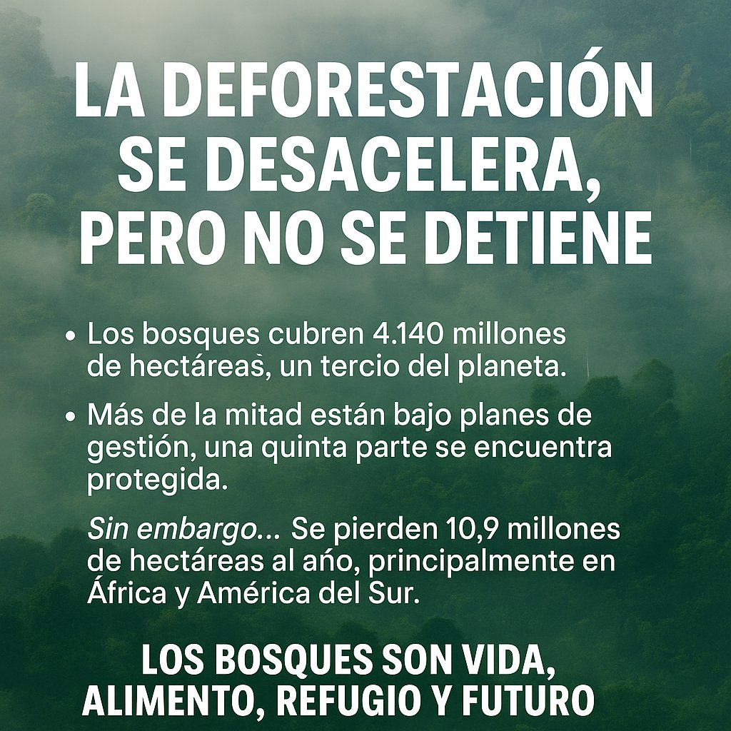 DraLanger's tweet photo. 🌳 FAO 2025: la deforestación mundial se ralentiza, pero los bosques siguen bajo presión.
La FAO-ONU confirma: la pérdida global bajó de 17,6 M ha (1990-2000) a 10,9 M ha (2015-2025).
Una mejora, sí. Pero aún alarmante.
#FAO #Deforestación #Sostenibilidad #Bosques #ODS13 https://t.co/nIr0gqmYW4