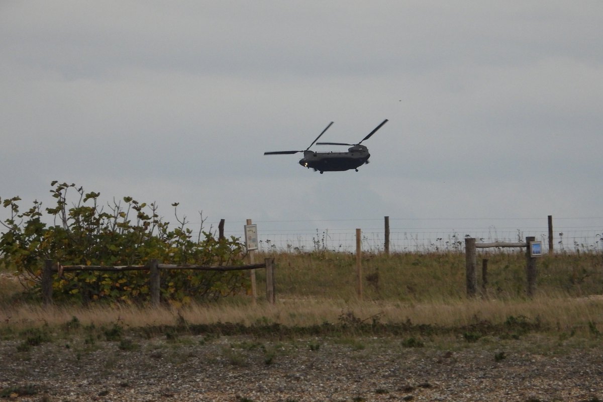 A Red-throated Diver was close to the beach again late this afternoon at Church Norton, while a RAF Chinnook was maneuvering just offshore. <a href="/SelseyBirder/">Selsey Birder</a>