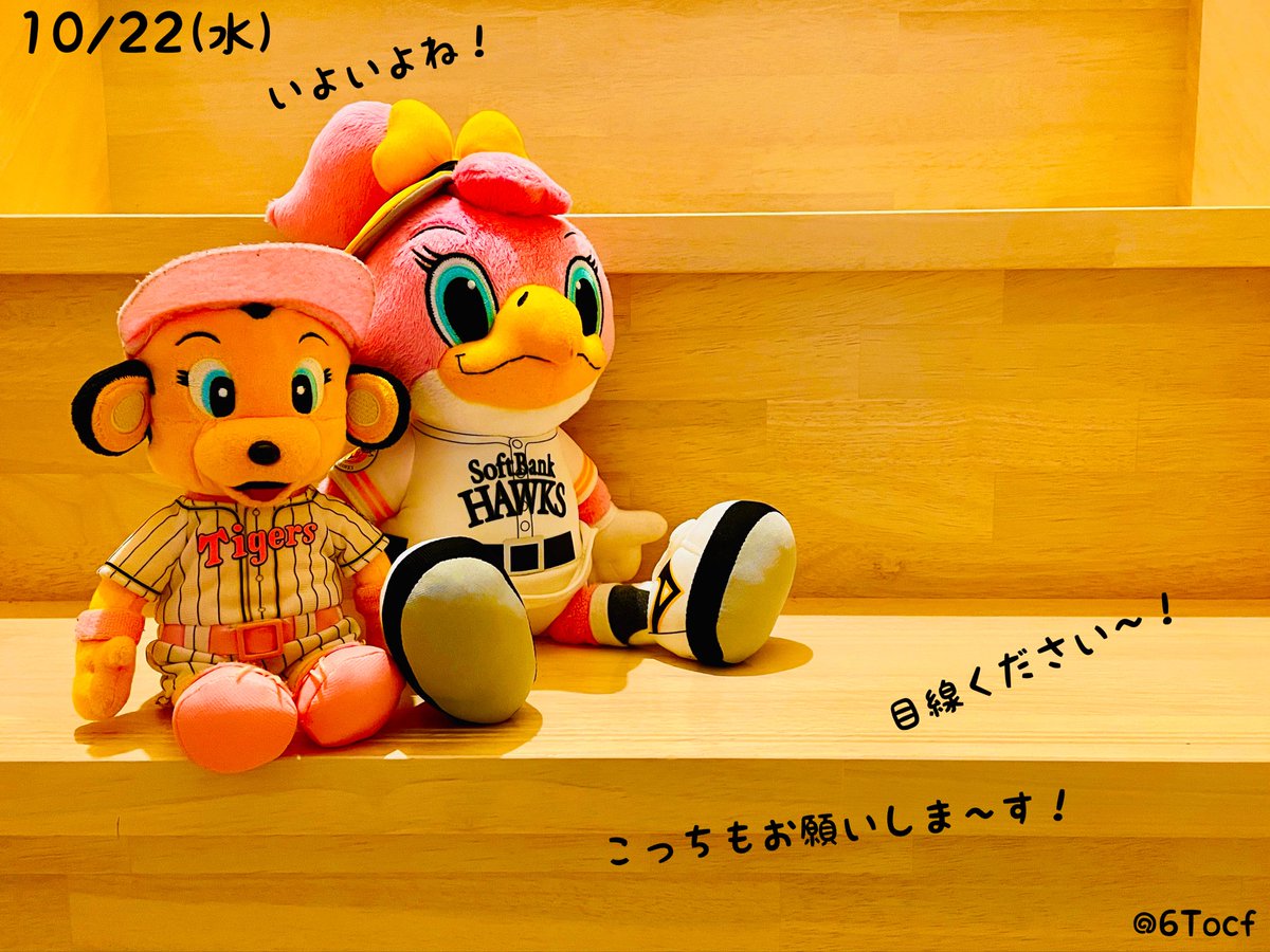 6Tocf's tweet image. 10/22(水)25年マイベストショット
今シーズンあなたが球場に行って撮った写真をみんなにシェアしよう!
思い出、シーン、プレー、マスコット、ご飯など、お気軽に。
注意事項を読んで投稿してください。
よかったらハッシュタグをつけてつぶやいてね(^^)
#2025プロ野球マイベストショット