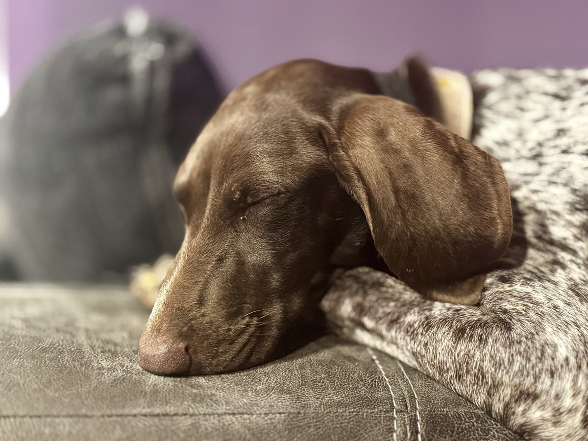 Brian Doser (@bdoser) on Twitter photo 