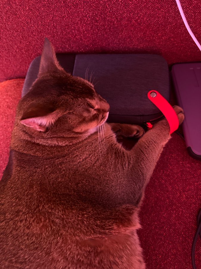 ร่างหนาได้ของเล่นใหม่หรอคะ