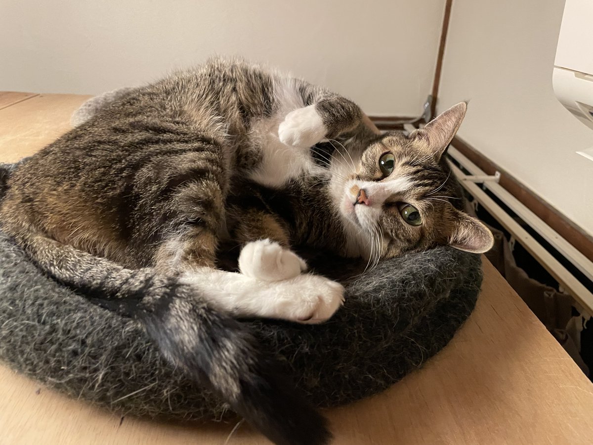 プカプカ猫　in　sky SSR♡ on X