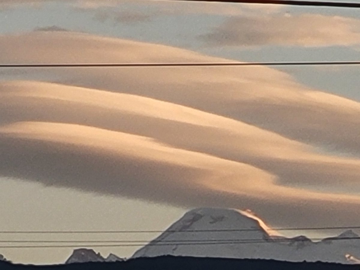 Steve Squires tweet media