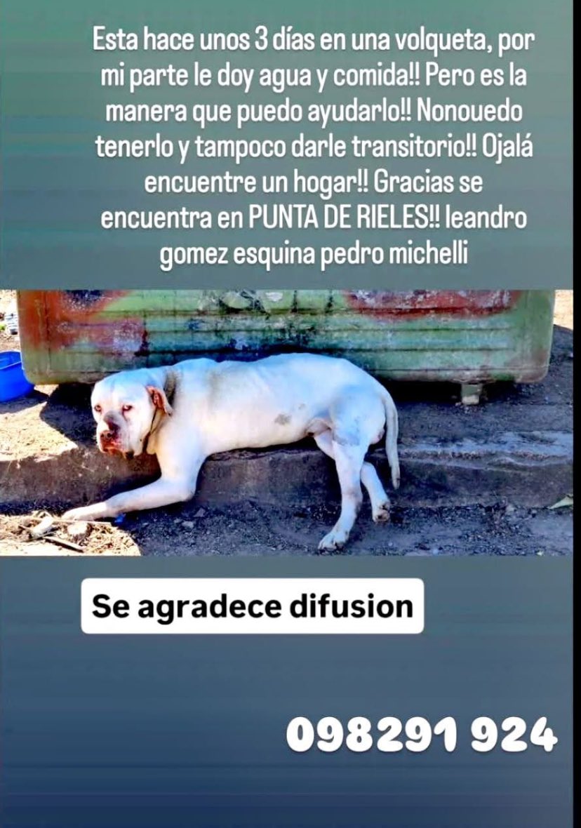 Adriana43587622's tweet image. 🙏🏻🙏🏻🙏🏻🙏🏻