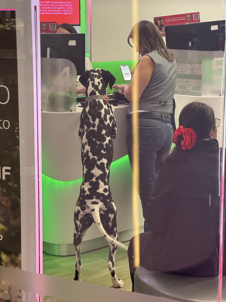 Счет мне запили!