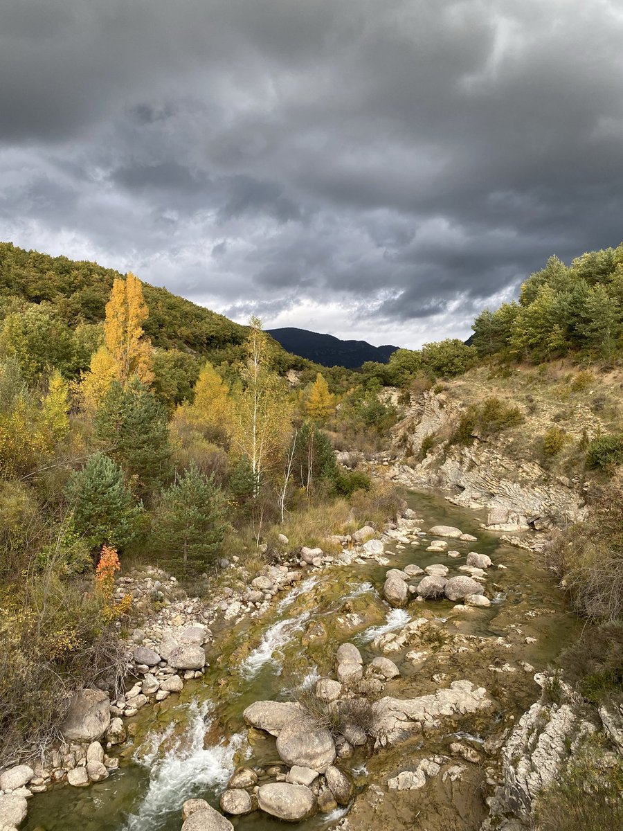 “El otoño tardío, las heladas tempranas, las hojas rojizas, la tierra cana.”
Marina Tsvietáieva