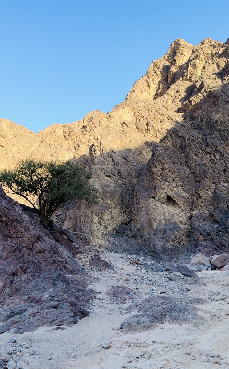 كل زاوية هنا لوحة من صنع الخالق 🤍