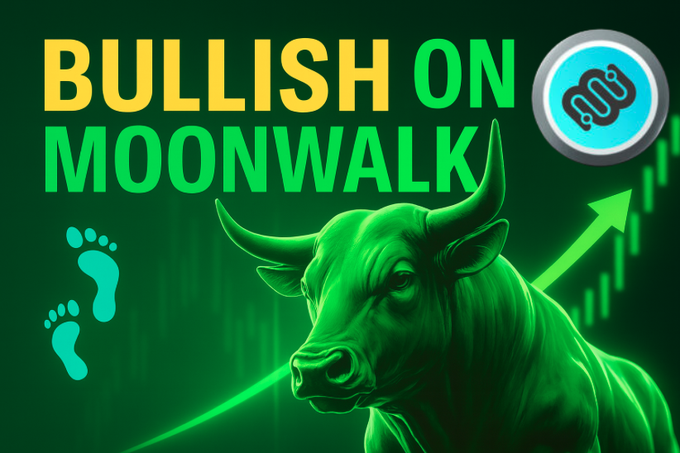 Moonwalk Fitness의 향후 개발 비전 로드맵