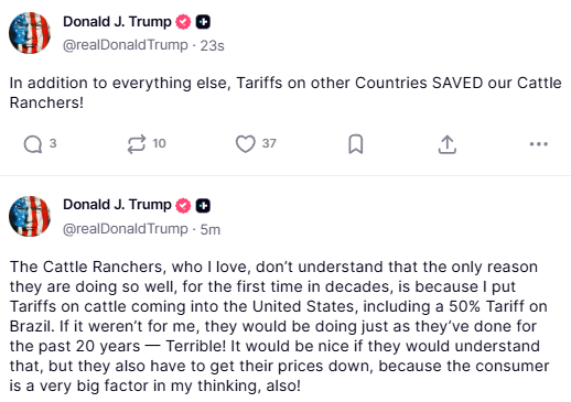 RT tweet media