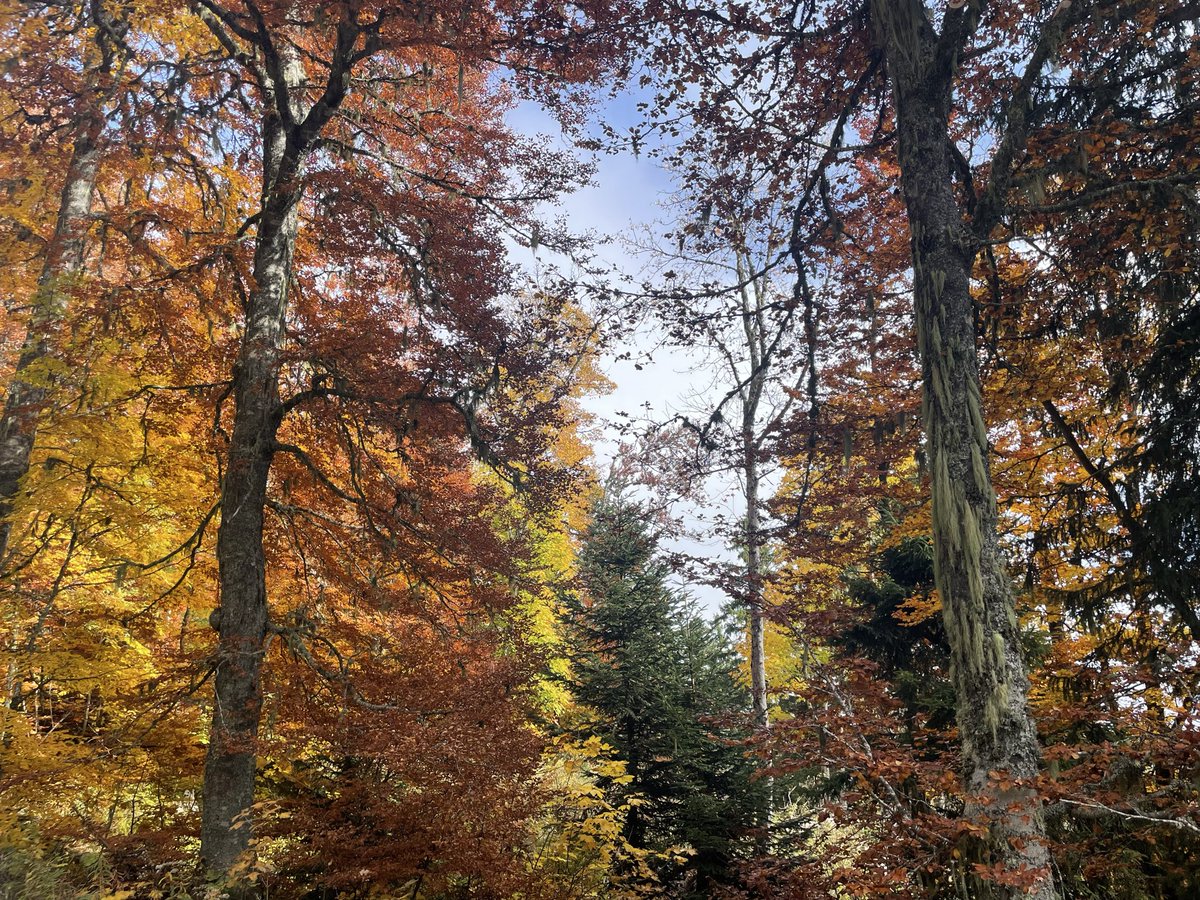 Peut-on oser la nuance sur les réseaux sociaux sans se faire agresser ?
« 𝘾𝙚 𝙦𝙪𝙞 𝙚𝙨𝙩 𝙧𝙖𝙙𝙞𝙘𝙖𝙡 𝙖𝙪𝙟𝙤𝙪𝙧𝙙'𝙝𝙪𝙞, 𝙘'𝙚𝙨𝙩 𝙡𝙖 𝙣𝙪𝙖𝙣𝙘𝙚. 𝙇𝙖 𝙥𝙧𝙚𝙪𝙫𝙚, 𝙘'𝙚𝙨𝙩 𝙦𝙪𝙚 𝙦𝙪𝙖𝙣𝙙 𝙫𝙤𝙪𝙨 ê𝙩𝙚𝙨 𝙣𝙪𝙖𝙣𝙘é, 𝙩𝙤𝙪𝙩 𝙡𝙚 𝙢𝙤𝙣𝙙𝙚 𝙫𝙤𝙪𝙨