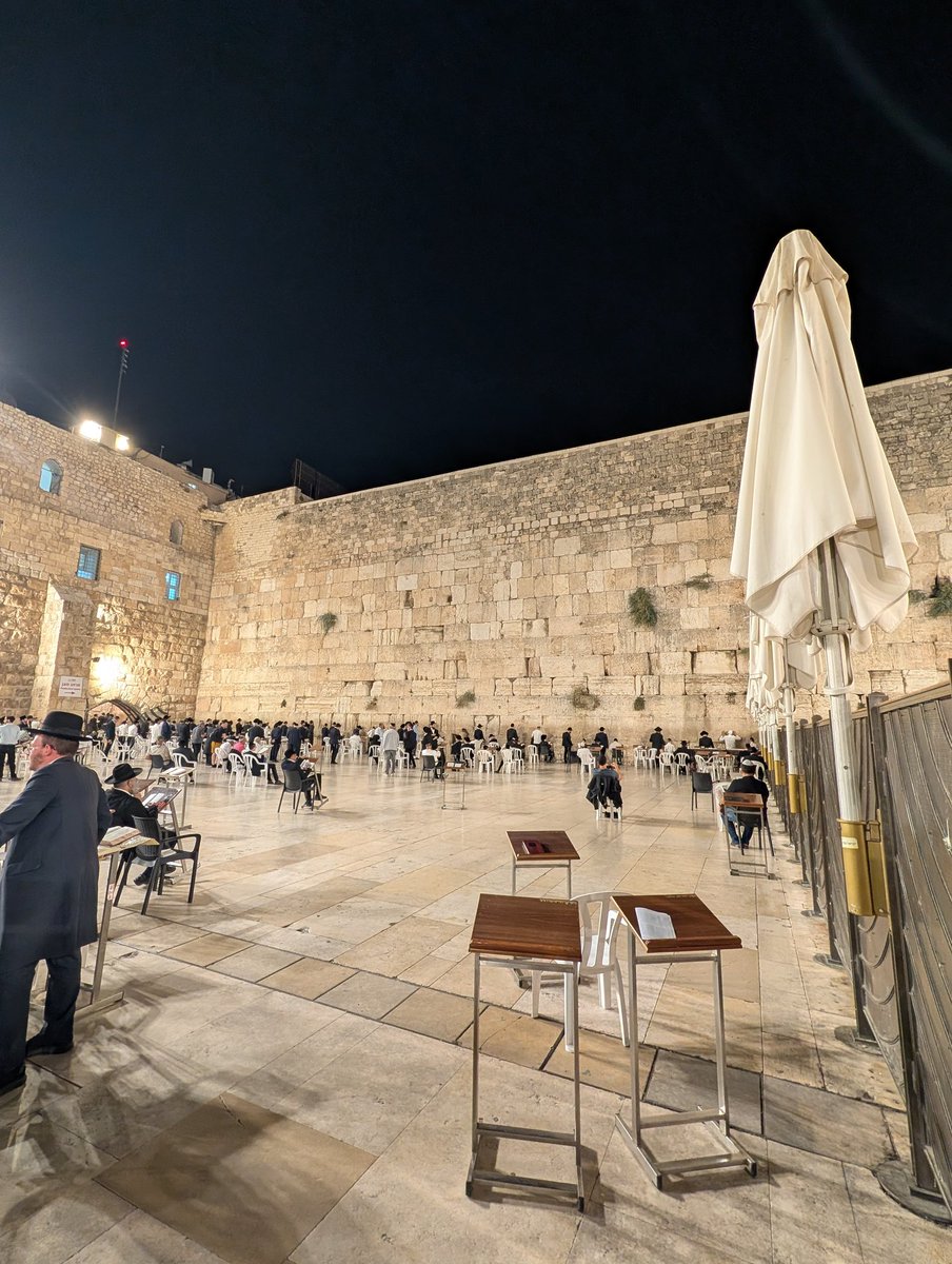 Tal Oran tweet media