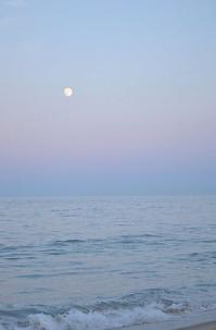 Securitycode8's tweet image. 木曜日夕方のメモ：雨／落ち着く。散歩する→ストレッチする。今日もこつこつ。