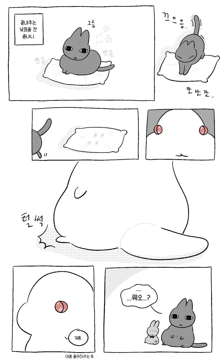 김개 tweet media