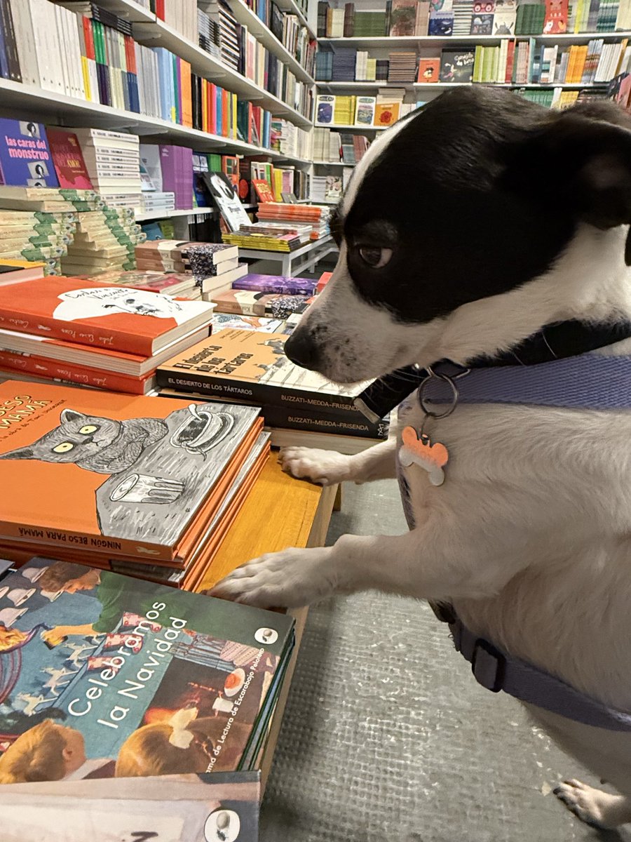 Cuando te dicen vamos a pasear y terminás laburando de librera