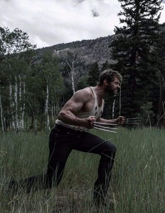 WolverineShots's tweet photo. Role of a Lifetime https://t.co/zeijvjnyxL