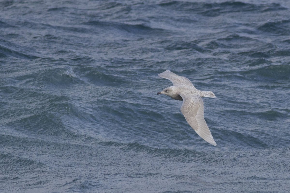 Maddy Hine tweet media