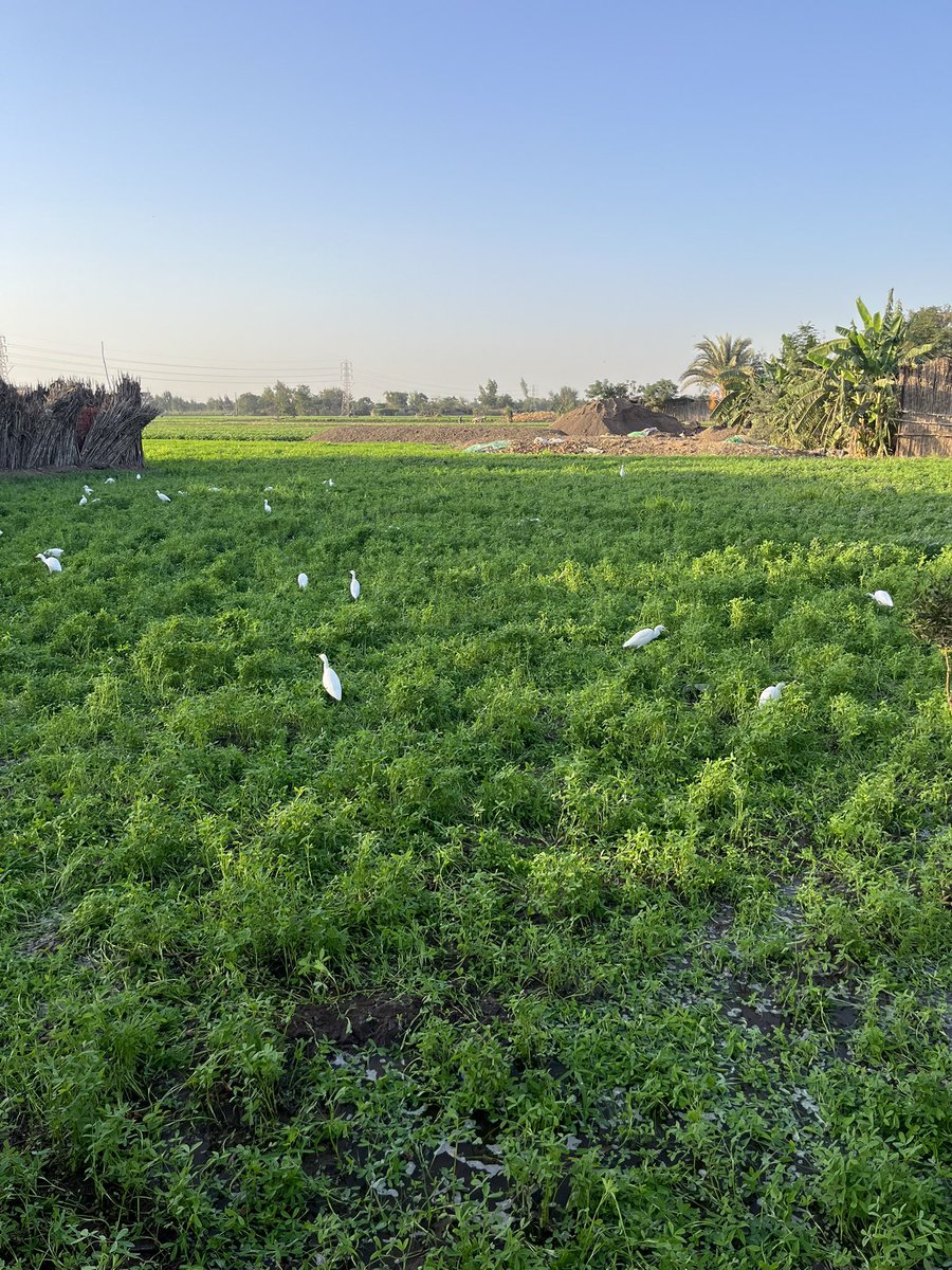 #مصر
#المنوفية 
#تصويري
#متحف_السادات
#دعاء_لمن_نشتاق_لهم