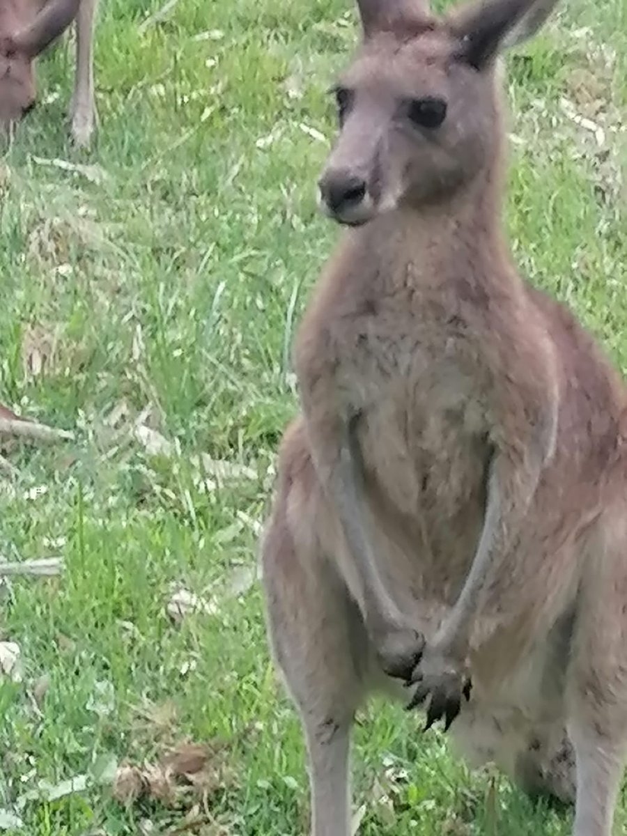 En donde estoy? saludo a todas y todos