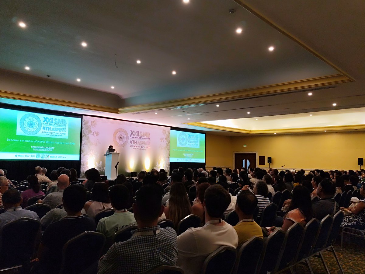 SMBPlant tweet media