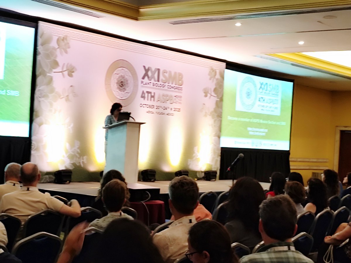 SMBPlant tweet media