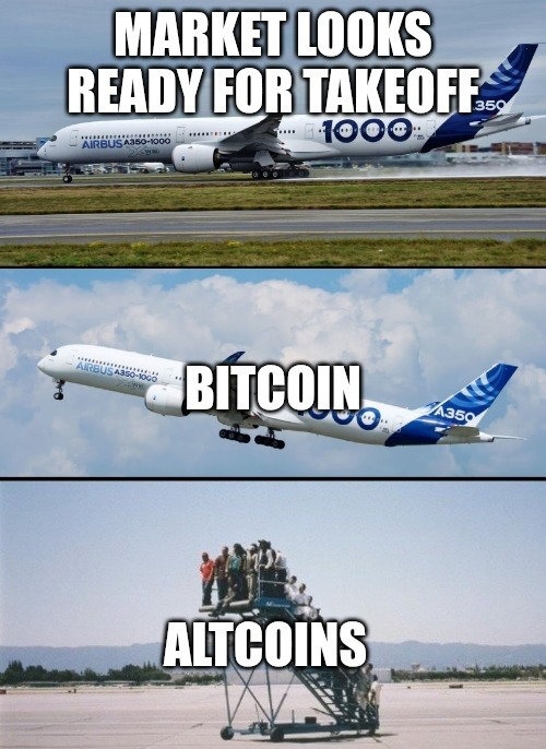 Miles Deutscher tweet media