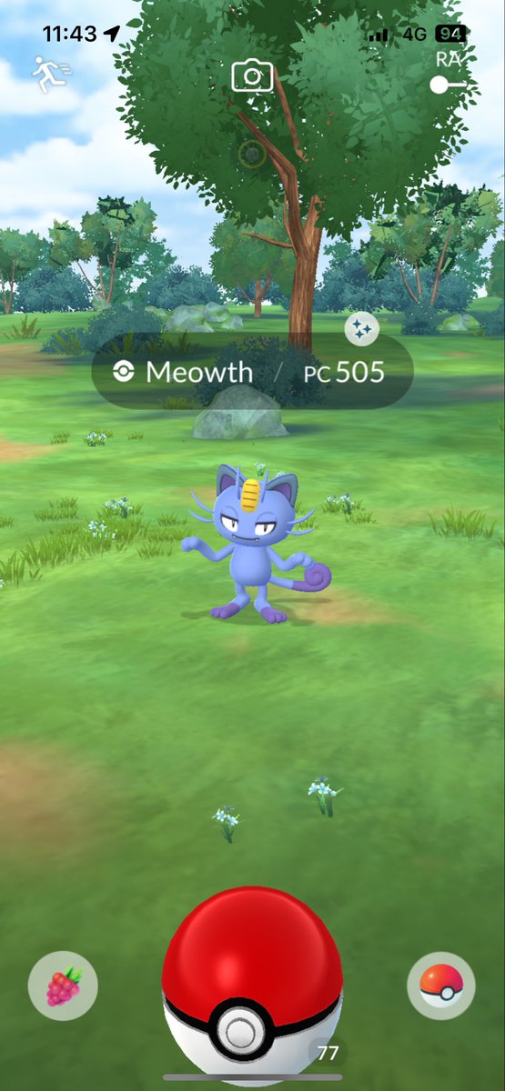 VadhirConV's tweet photo. Jajajajaja no me lo esperaba #PokemonGOApp #shiny https://t.co/KH69QvLZl6