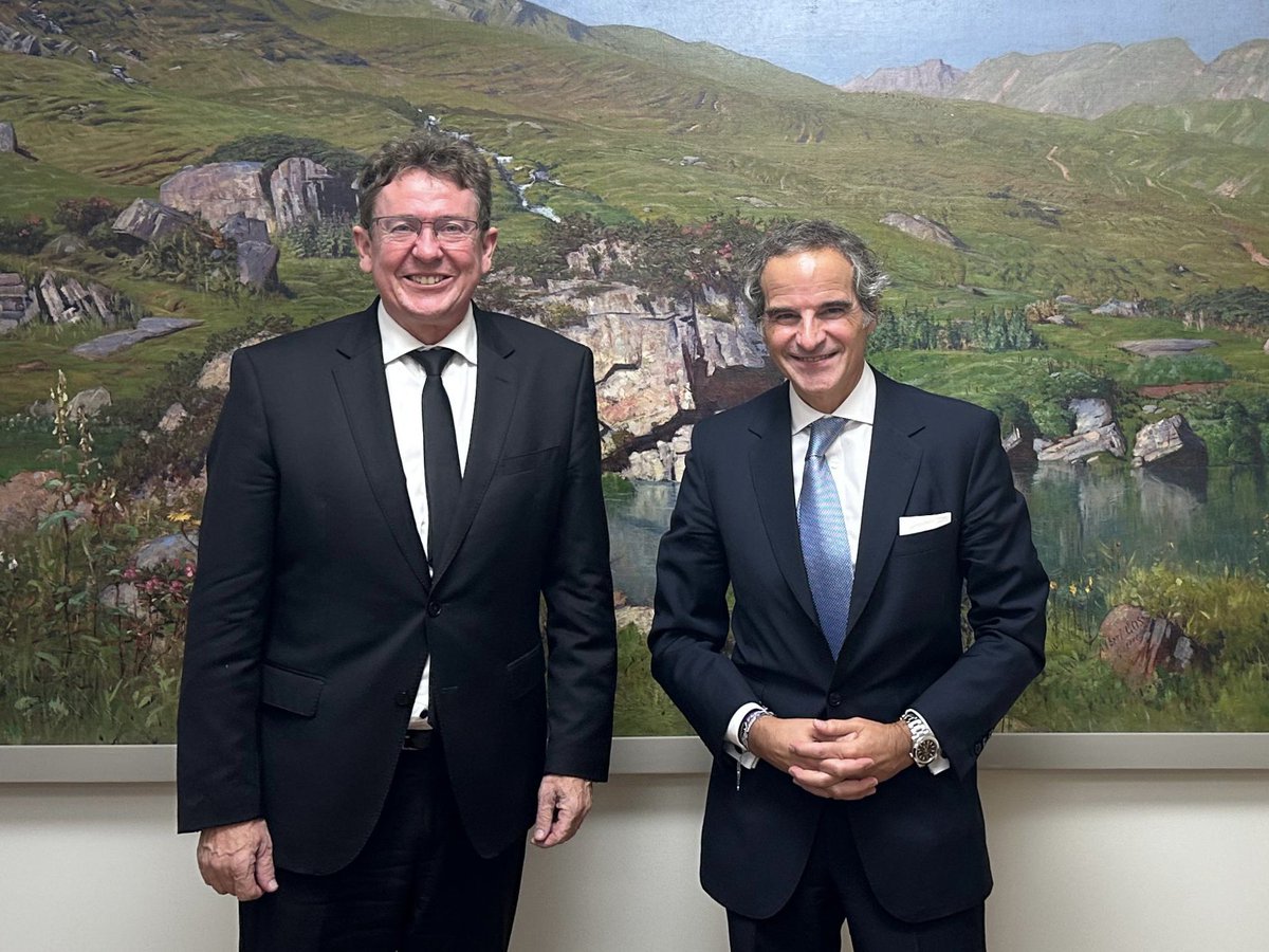 Rafael Mariano Grossi tweet media