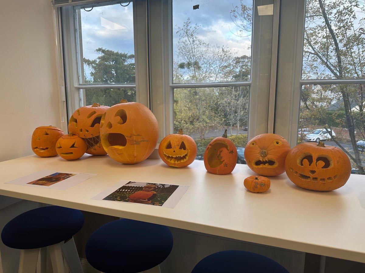 Ceres Property tweet media