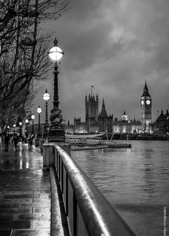 金曜日深夜のメモ：曇り／静かに過ごしたい。
掃除する→写真を撮る。少しずつ前へ。 📝