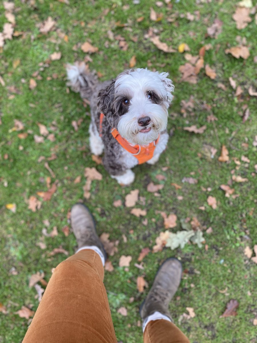 bemorebob2's tweet photo. When you wears your best #OrangeIsCool to da park only to find your mumsie has copied your style 🤨🧡 https://t.co/U5ZRA2uXXw