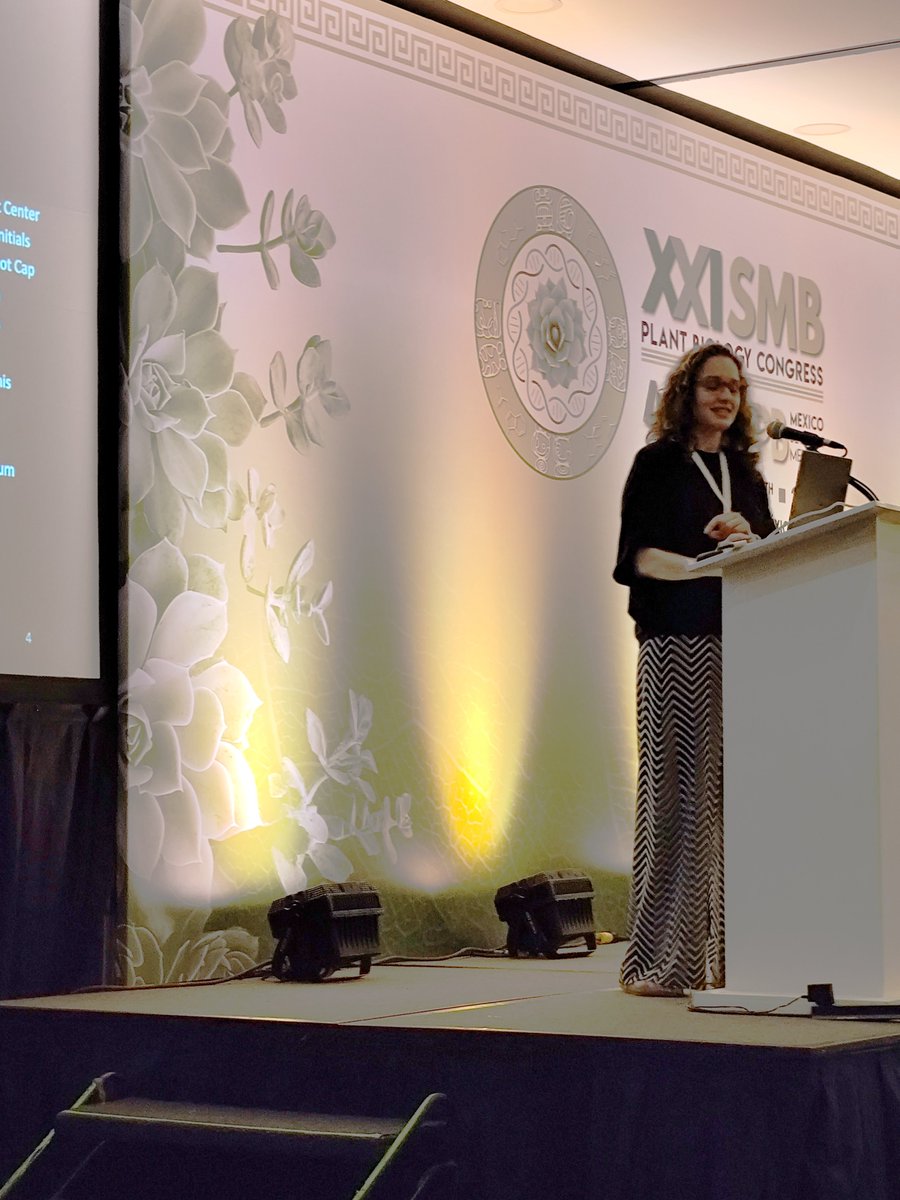 SMBPlant tweet media