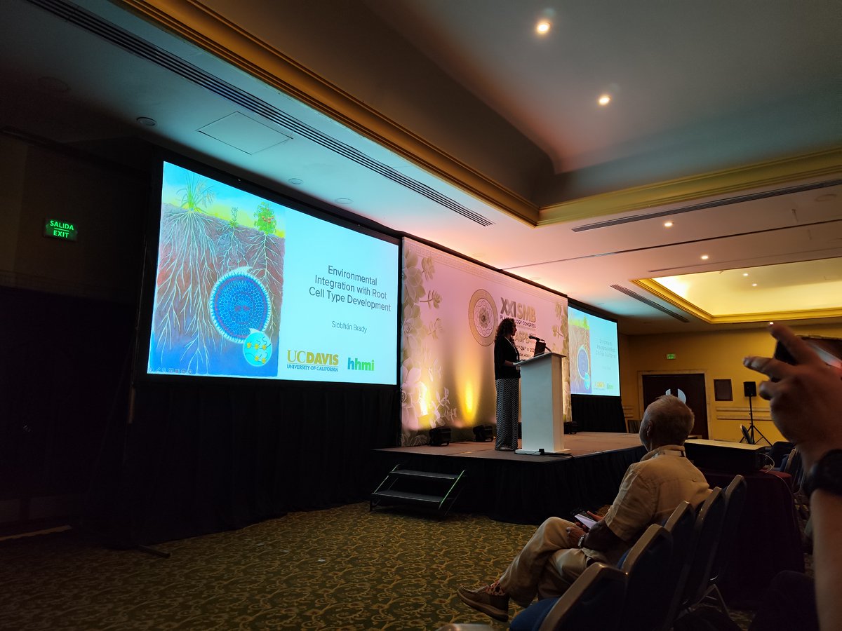 SMBPlant tweet media