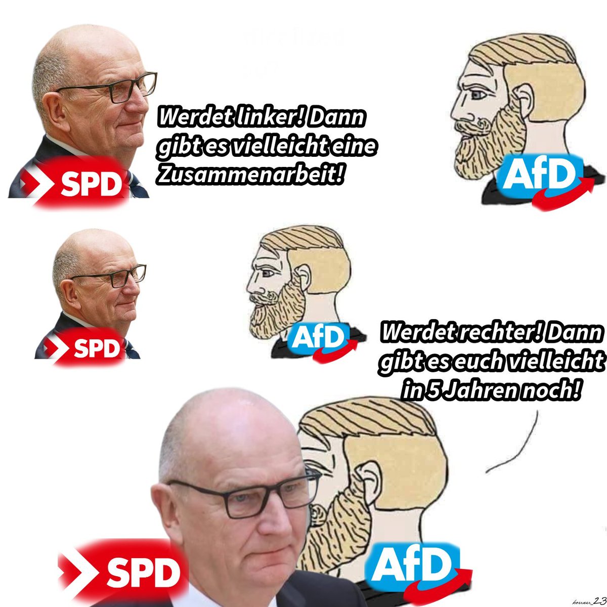 #AfD #SPD