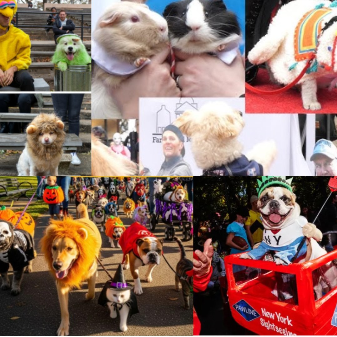 OoOo! 👻 Check out some of the spooky activity in downtown StPL coming up! 🎃

👻 Minnesota Children's Museum Halloween Party
👻 BOOnion Depot 
👻 Sundays at Landmark: Great Pumpkin Halloween Celebration
👻 CHS Field Lowertown Terror
👻 St. Paul Halloween Pet Parade at Mears Park