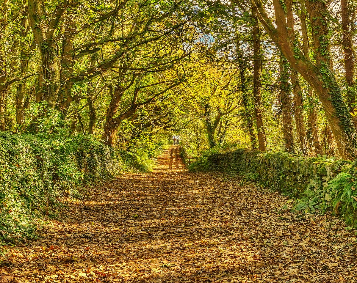 Anthony Ward tweet media