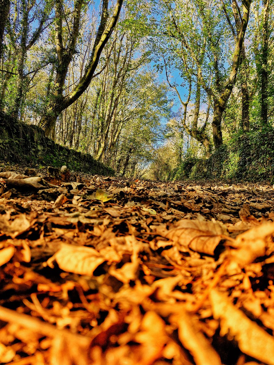 Anthony Ward tweet media