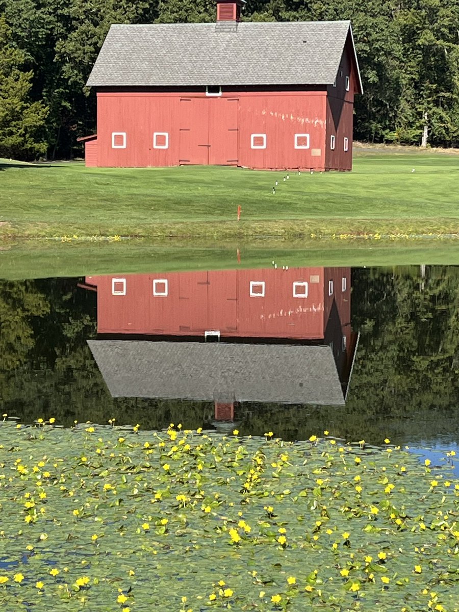 Chris Kennedy tweet media