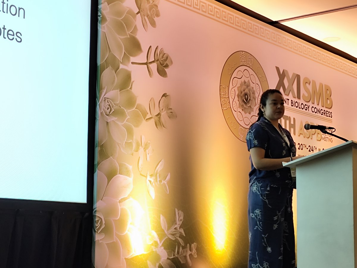 SMBPlant tweet media