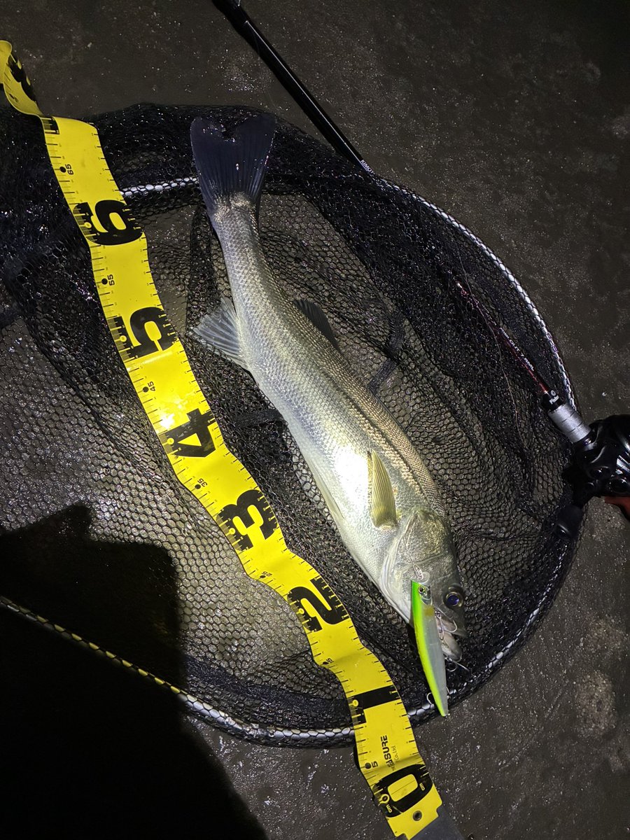 なみのりいくぞう✨ なみのりえいじ (@naminori812) / Posts / X