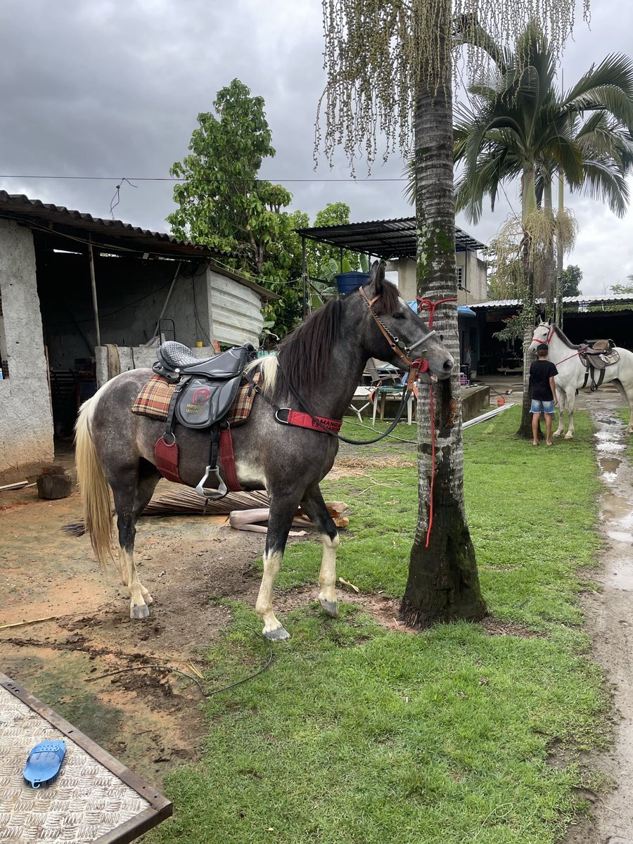 Emanuel09250751's tweet photo. Vai de que ? 🤠🚀 https://t.co/2HxiqXXa11