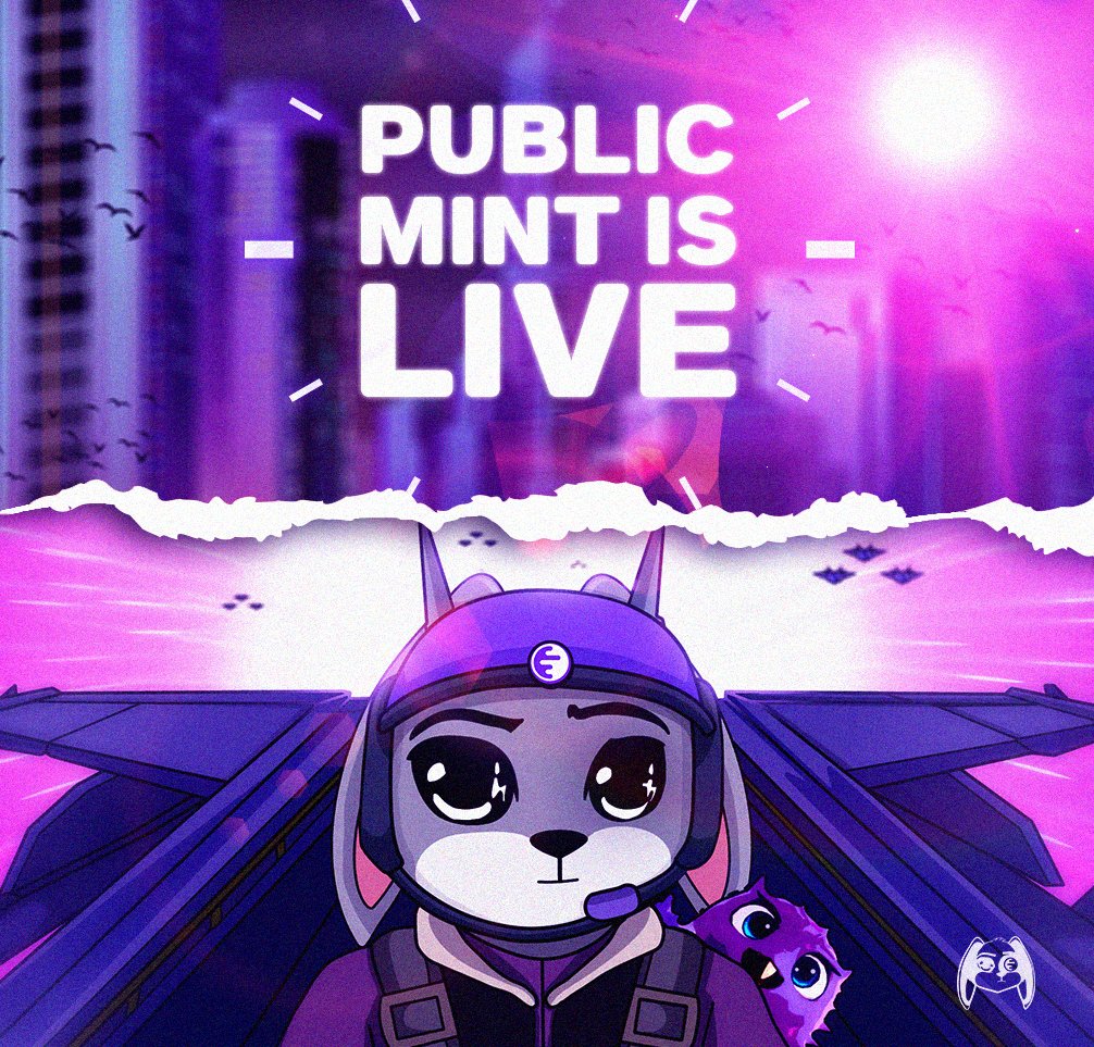 InkBunniesNFT's tweet photo. Public Mint is LIVE! 🚨

This is your moment 2 hours to join the Ink Bunnies family! 

👉 https://t.co/NPqplrgMLz https://t.co/TFZWi6DHo1