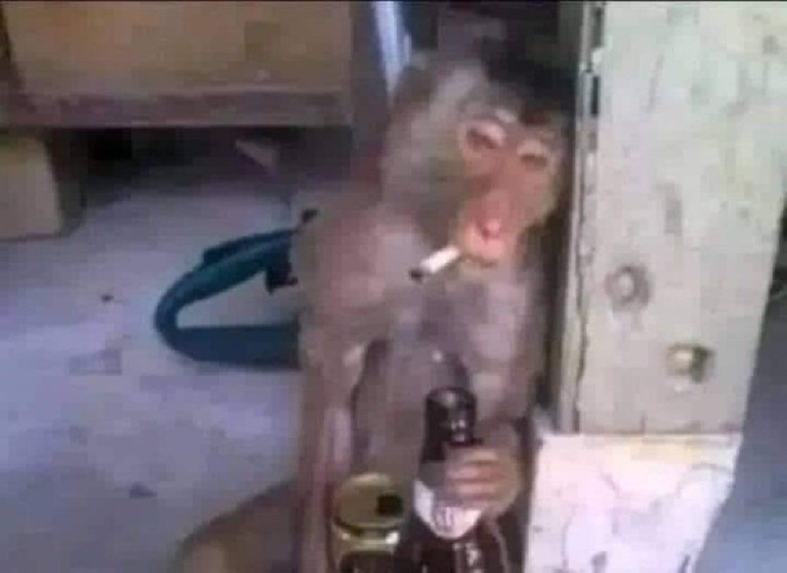 yo después de dármelas de detective