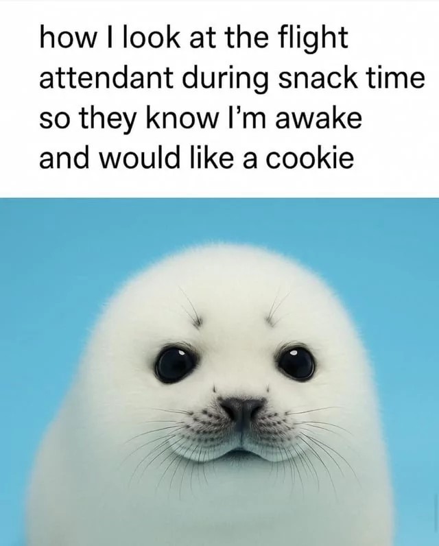 ShitpostGateway (@shitpostgate) on Twitter photo 