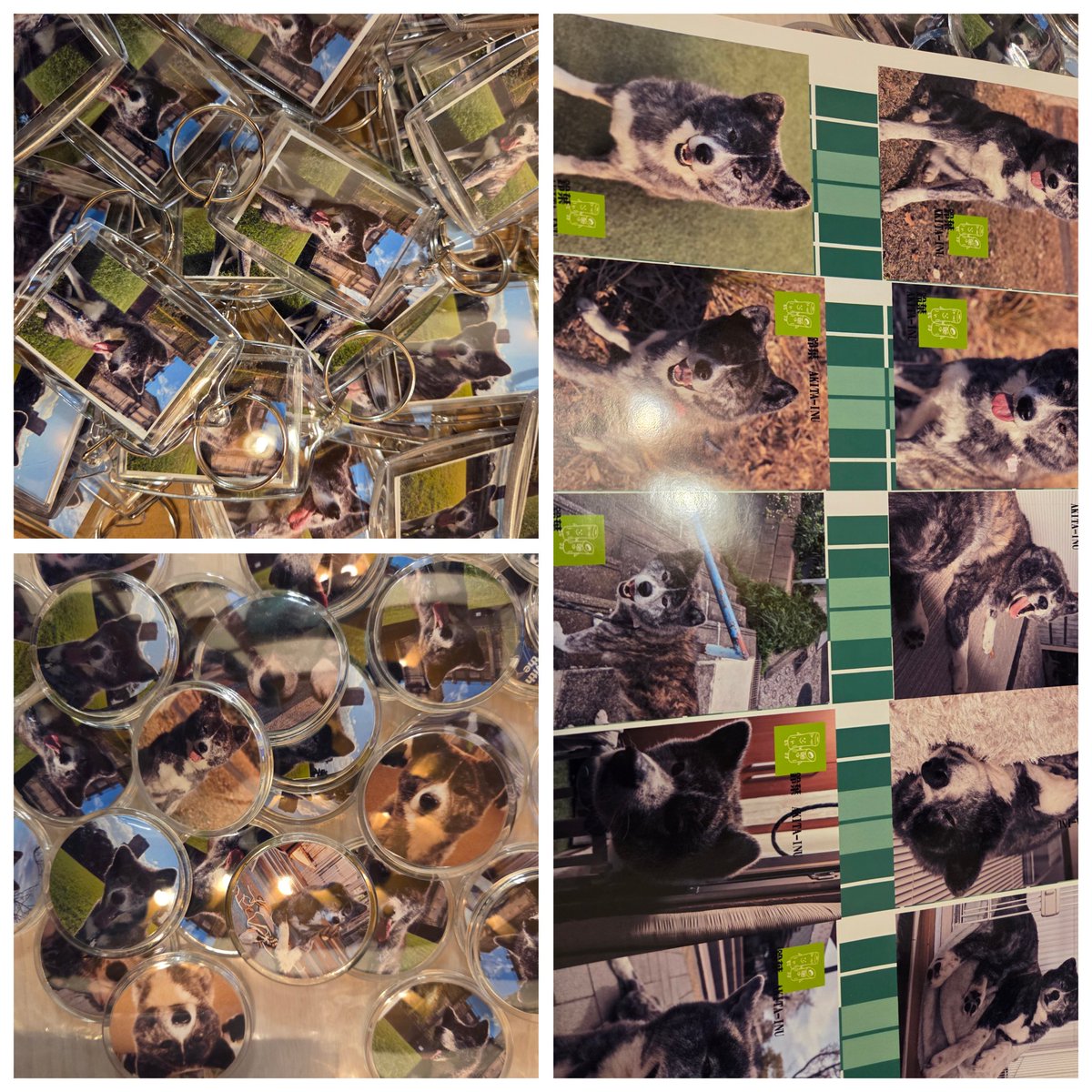 チェン (@chenkun1098) / Posts / X