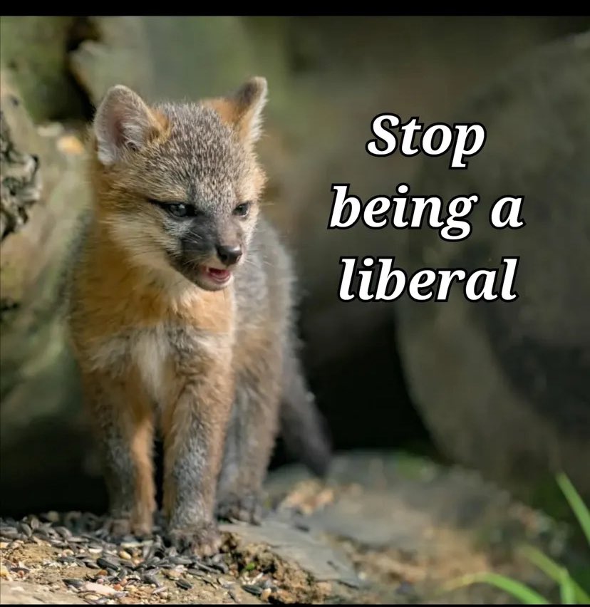 Stop trying to save the empire currently doing a genocide in Gaza