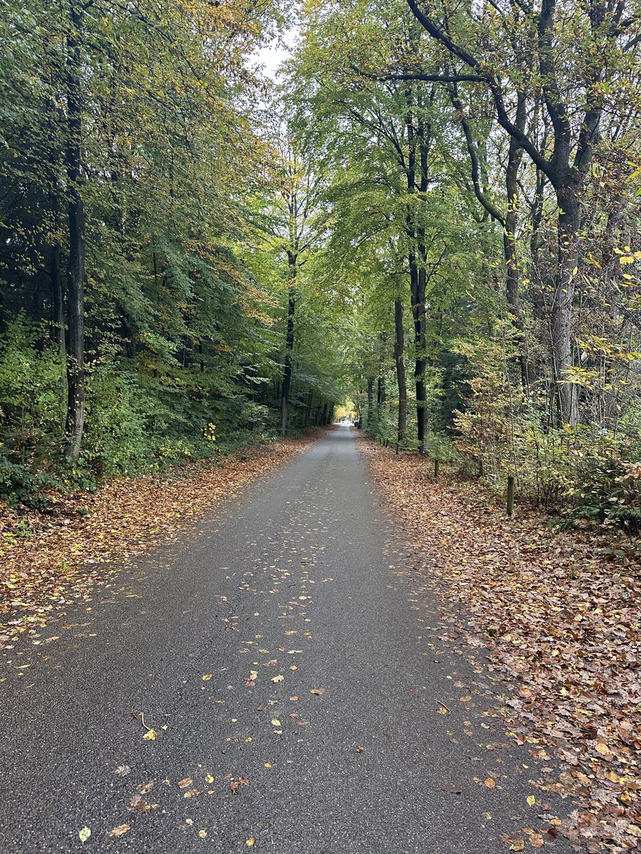 Keyifle ve huzurla .🍁🍂🫶