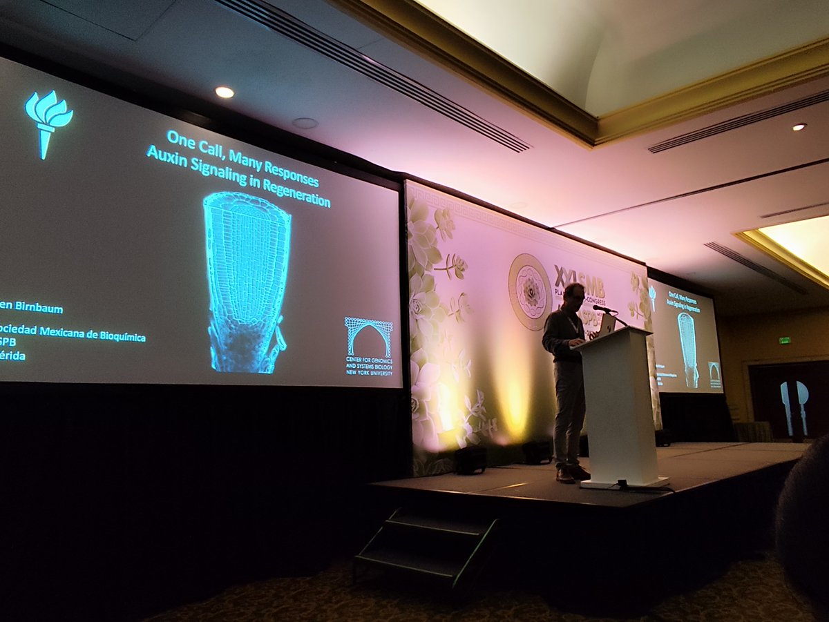 SMBPlant tweet media