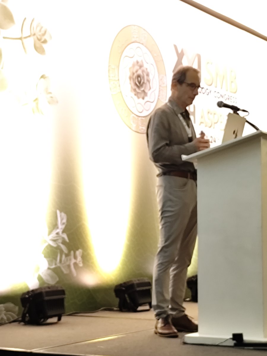 SMBPlant tweet media