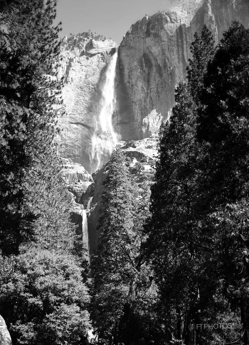 Beautiful Yosemite last Summer 🩶 ©️ Fi Photos