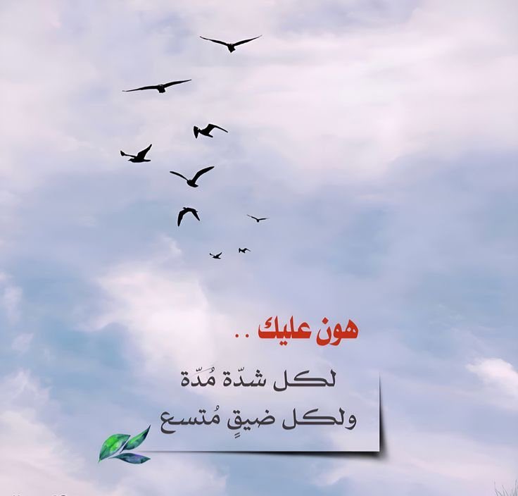 اربعيـــــــني tweet media
